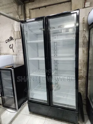 Chiller Nyeusi ya Milango 2 ya Lita 1000 ya Kuonyesha