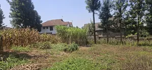 Eneo la 1/2 Acre Linauzwa - Kikuyu Thamanda, Muguga