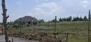 Vipande vya Makazi 50x100 kwa Uuzaji - Langa Langa, Gilgil