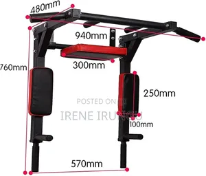Wall Mounted Pull-Up and Dip Station