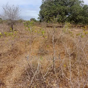 35 Acres Land for Sale in Dakacha, Malindi