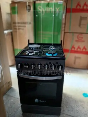 Nunix 3+1 Cooker ya Umeme na Oven ya Standing