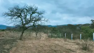 Mixed-Use Land for Sale in Thatha Hills, Matuu