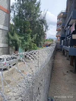 Double Galvanized Razor Wire - 10 Meters