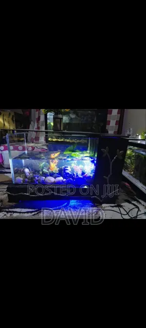 Aquarium Fish Tank with Goldfish