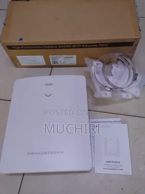 Grandstream GWN7664ELR Nje ya Nyumba WiFi 6 Access Point