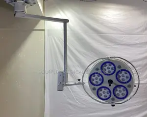 LED Ceiling Mounted Theater Light (Single Dome/Arm)