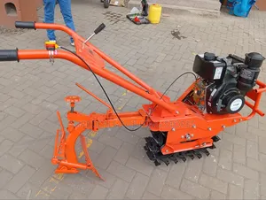 Diesel Chain Tiller - Injini ya 173F