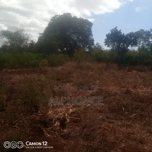 3 Acres Prime Flat Land for Sale in Kivaa