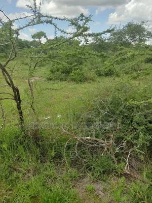 Ekari 5 za Ardhi kwa Uuzaji Konza, Malili