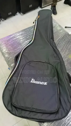 Ibanez Professional Padded Acoustic Guitar Gig Bag - Black