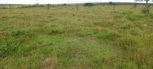 100 Acres of Prime Land for Sale in Kipeto Kiserian