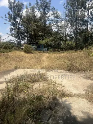 Kiwanja cha Biashara Robo Eka Kwenye Barabara ya Gataka