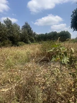 1/8 Acre Plot Near Millenial Hotel, Ongata Rongai