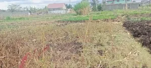 Kiwanja cha Mwihoko 50x100 Kinauzwa