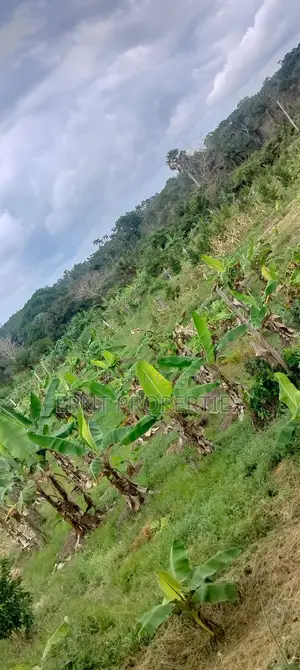 Shamba la Eka 12 kwa Ajili ya Kilimo | Msambweni, Kwale