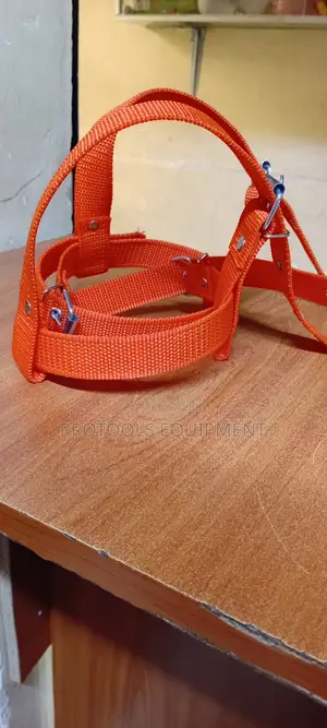 Orange Climbers Strap