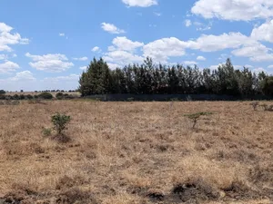 Half Acre Plot for Sale in Korompoi, Kitengela