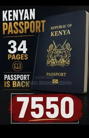 Diaspora Talent Centre: Mashauriano na Huduma za Serikali