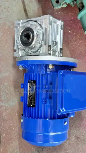Raydan Gear Motor 0.75HP (0.55kW) na Gearbox ya Worm