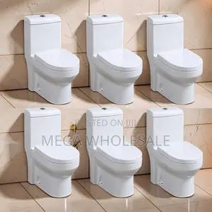 Sawa One Piece Dual Flush Toilet Seat