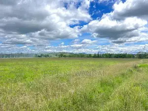 1/8 Acre Plot for Sale in Nyeri Kamuyu Village