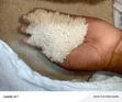 Mchele Mzuri wa Pishori wa Mwea - 2