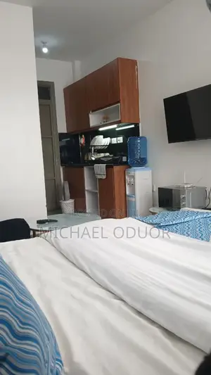 Studio ya Samani kwa Ajili ya Kukodisha, Lumumba Drive, Roysambu