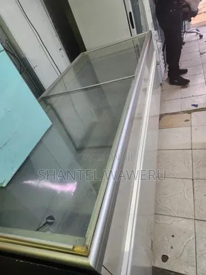 Friji la Kuonyesha Biashara