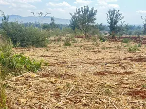 Ardhi 50x100 Inauzwa Murang'a - Hati Tayari