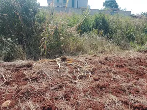 Kitalu cha 50x100 kinauzwa, Anmer Gardens Estate, Kiambu