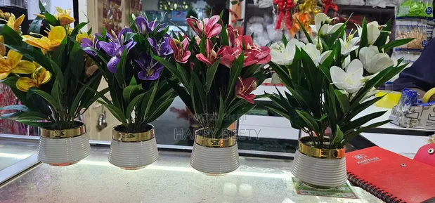Potted Mini Floral Plants - 1