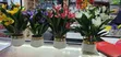 Potted Mini Floral Plants - 1