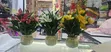 Beautiful Flowers with Ceramic Vase - 1