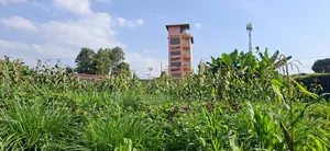Eneo Bora la 100x100 Linauzwa - Lower Kabete
