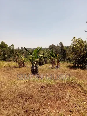 Eneo la Kilimo la Kirwara Gatanga Prime 4.3 Eka