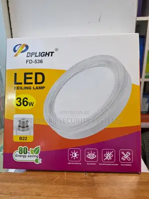 36W LED Ceiling Lamp - Energy Efficient Indoor Light