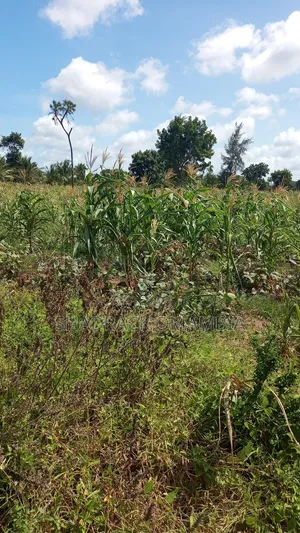 2 Acres Shamba for Sale in Bahari