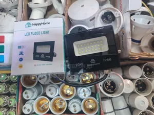 20W AC Floodlight