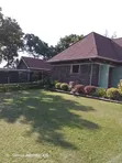Landscaping,Gardening & Beautification - 3