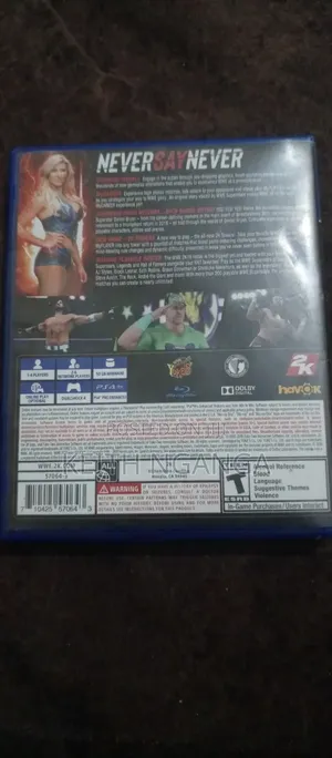 WWE 2K19 PS4 Game