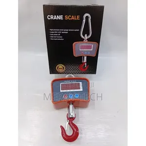 300kg Heavy-Duty Crane Scale
