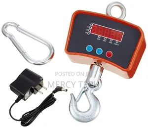 500kg Heavy-Duty Crane Scale