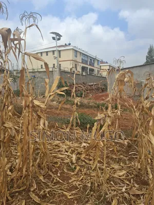 Valley View Kiambu Rd Prime 1/2 Eka Kiwanja cha Kona