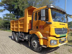 Shacman Tipper 210 (2025)