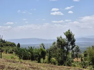 Shamba la Eka 20 kwa Uuzaji Miti Mingi, Nakuru