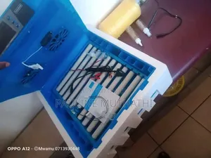 Automatic Egg Incubator - 64 Eggs