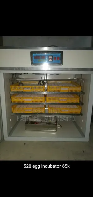 Automatic Egg Incubator/Hatcher 528 Eggs