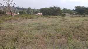 Viwanja Prime vya 100x100ft kwa Uuzaji Ongata Rongai Nkoroi Kamura