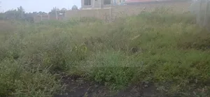 Vipande Bora vya 50x100ft kwa Uuzaji Oloitoktok, Nkoroi